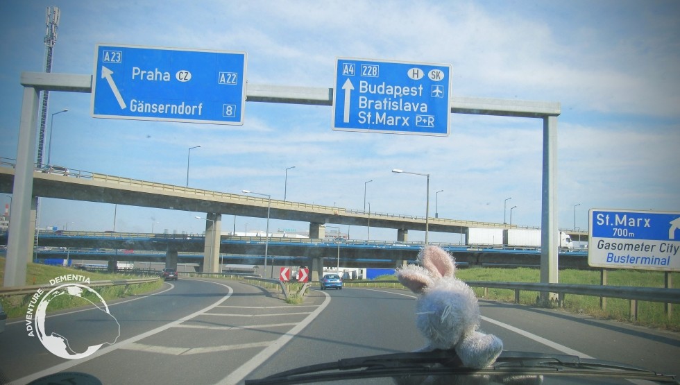 The buda and the pest